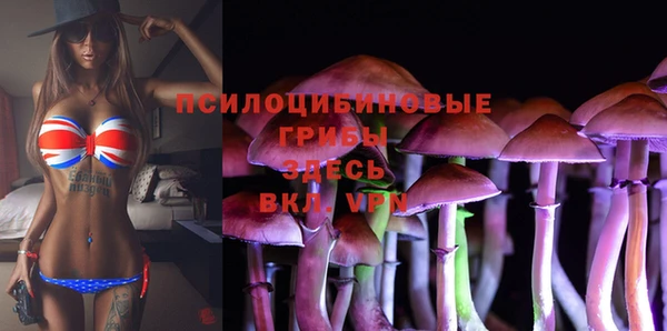 не бодяженный Коряжма