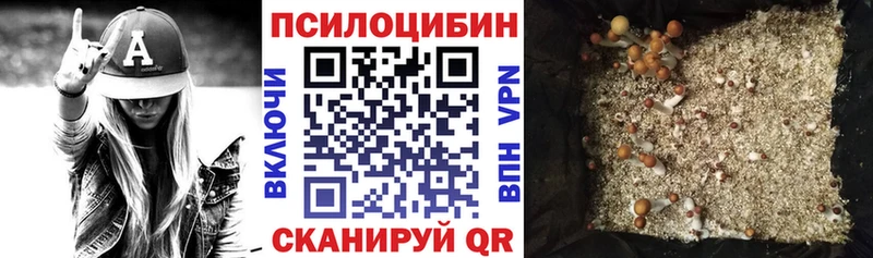 Псилоцибиновые грибы ЛСД  Нерчинск 
